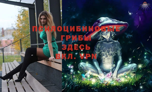 синтетический гашиш Заводоуковск
