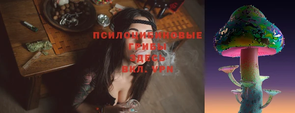 синтетический гашиш Заводоуковск