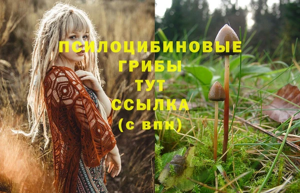 MDMA Заволжье